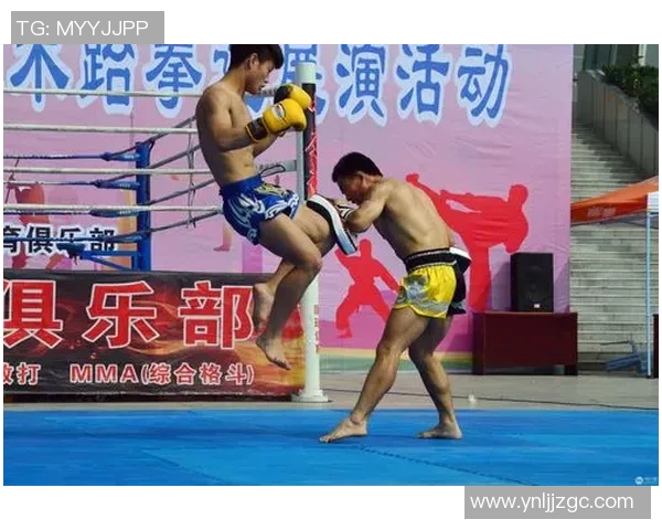 中国功夫与职业泰拳的较量探讨传统与现代武术的魅力与实战价值
